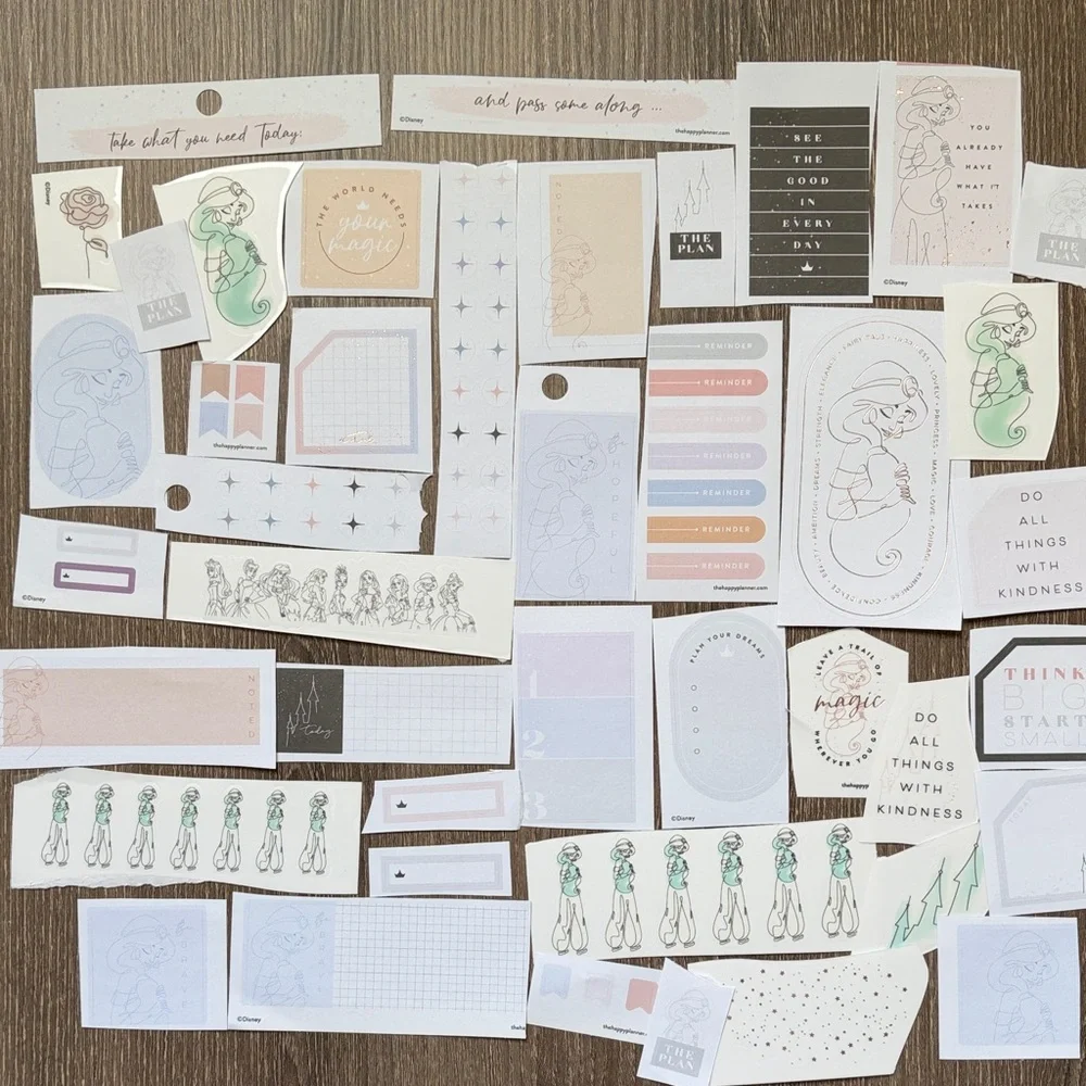 ❤️$5 Disney Jasmine Not So Mystery Happy Planner Sticker Set